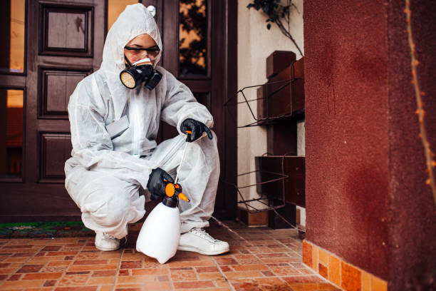 Reliable Cockroach Control contractor in Fort Valley, GA by Nex Pest Control