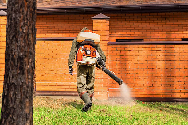 Trusted Rodent Control service in Fort Valley, GA - Nex Pest Control